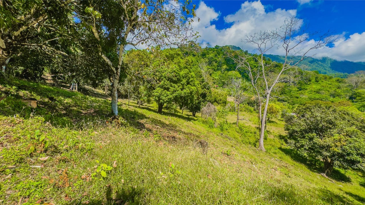 Private Mountain View Building Lot, Ojochal, Puntarenas
