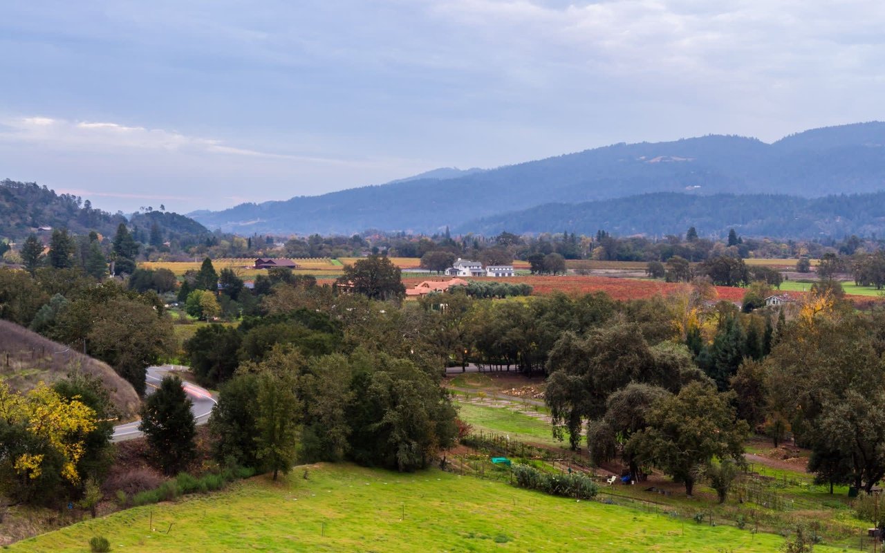 Calistoga Real Estate Market Prices, Trends and Forecast 2023