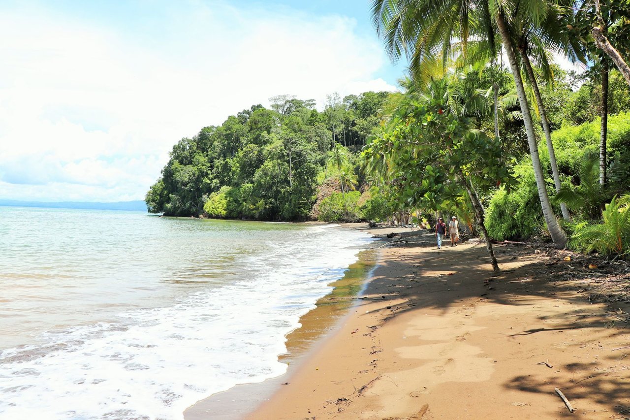 Private Beachfront Development Land, Ojochal, Puntarenas
