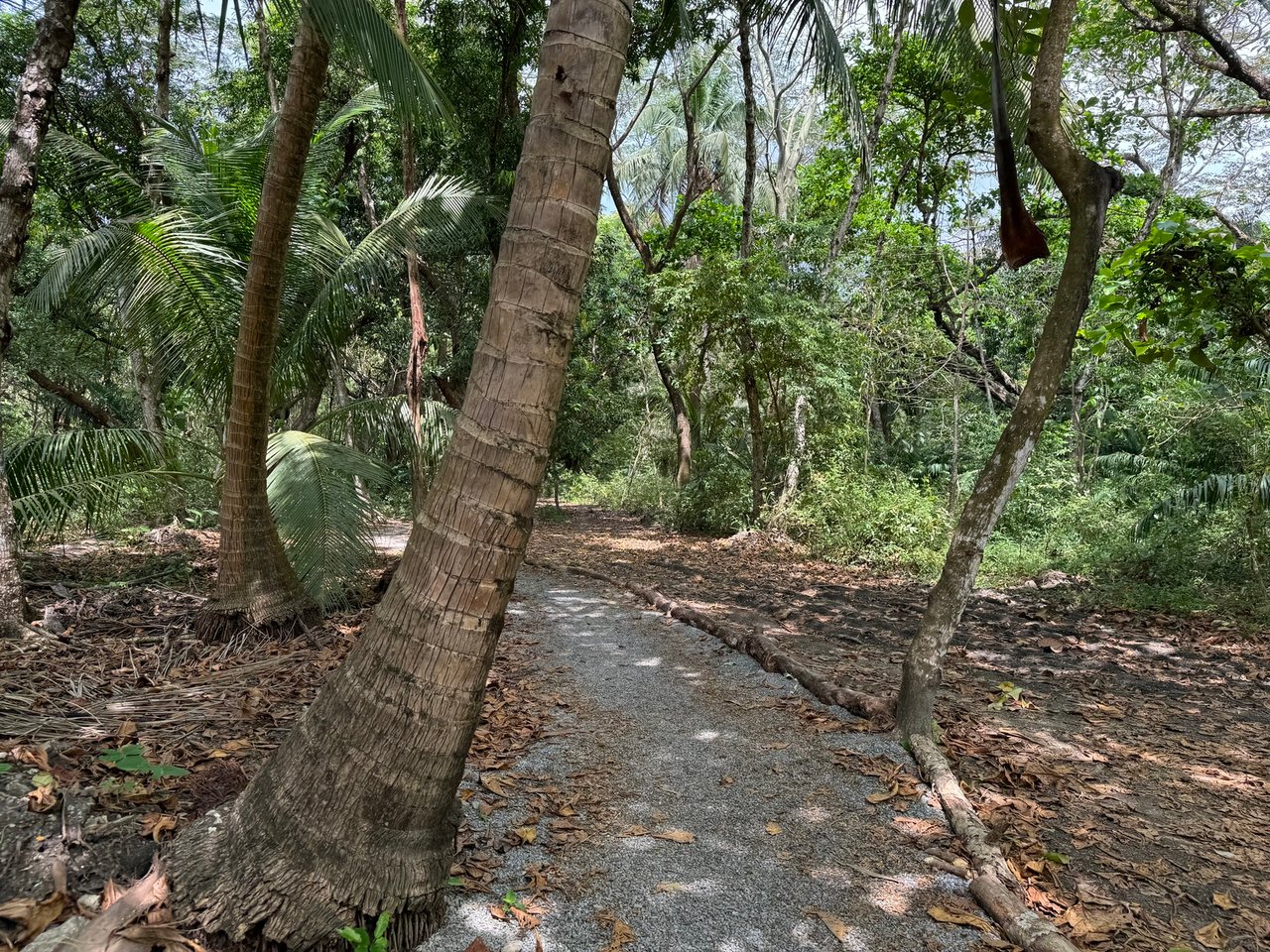 Premier Beachfront Concession Lot, Santa Teresa, Puntarenas
