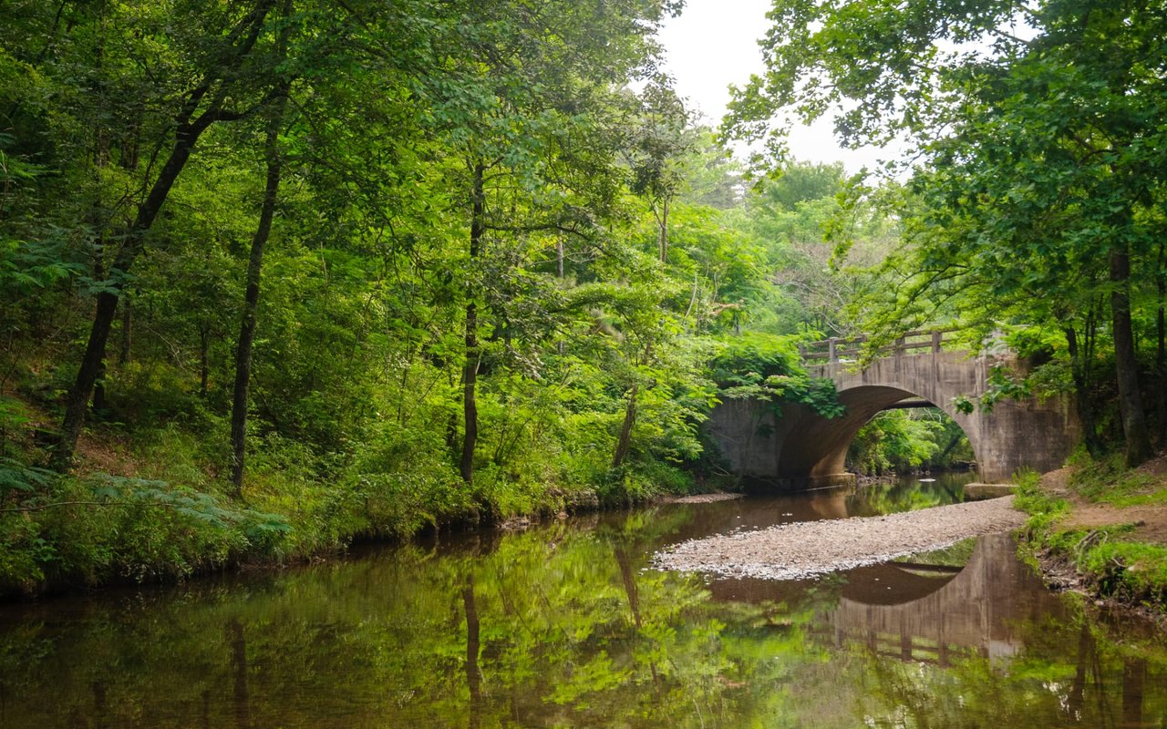  A tranquil natural scene featuring a shallow river with clear, calm water reflecting the surrounding vibrant green trees.