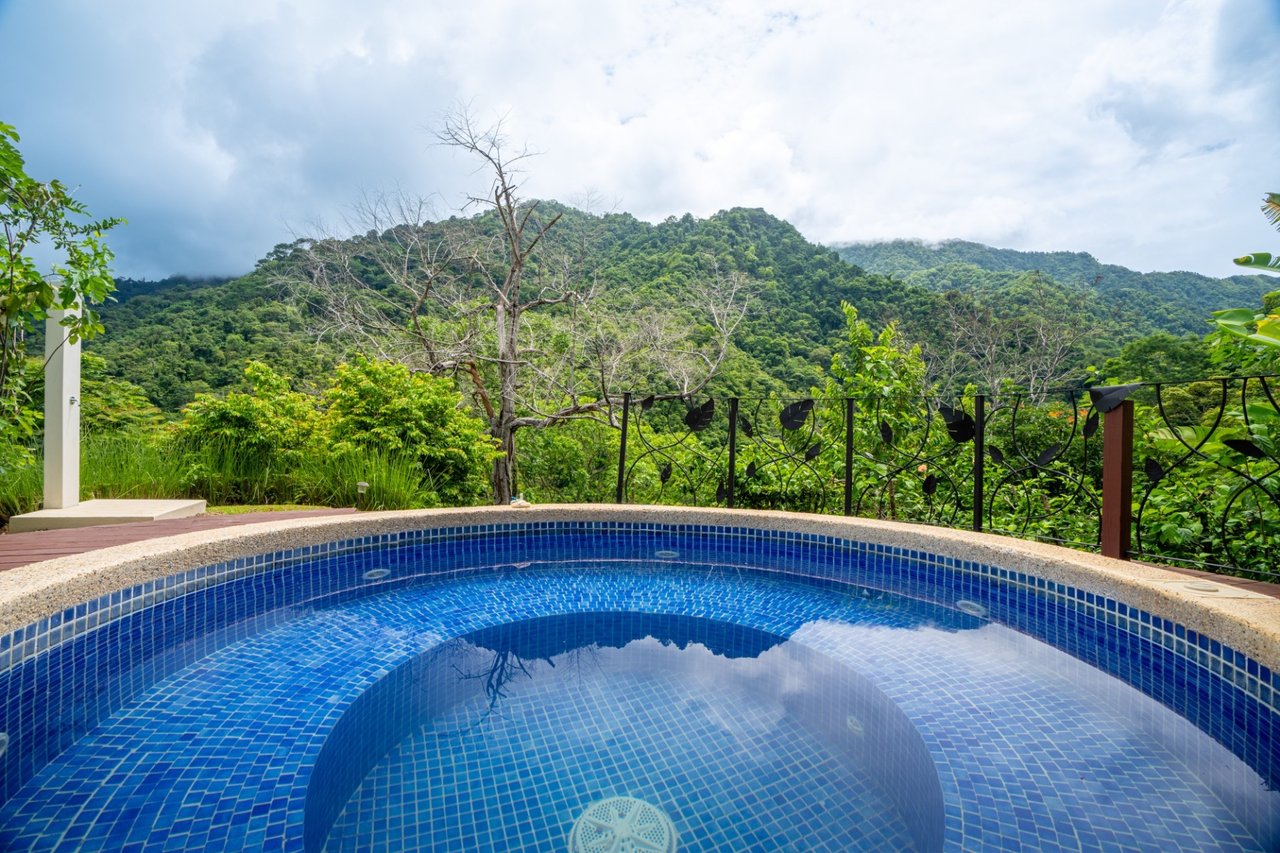 Waterfall Orchard Jungle Estate, Ojochal, Puntarenas