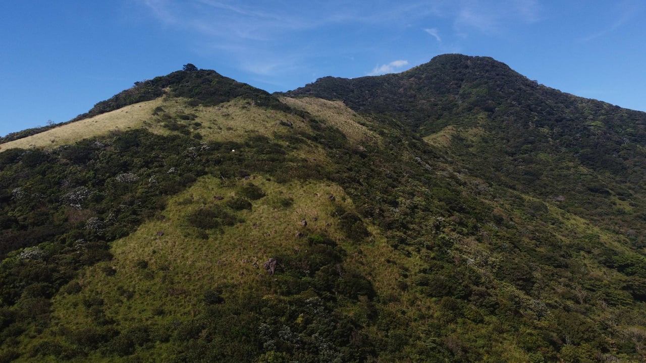 Rio Chiquito Farm | This farm offers an expansive canvas to bring your dreams to life in the majestic Guanacaste mountain rainforest region.