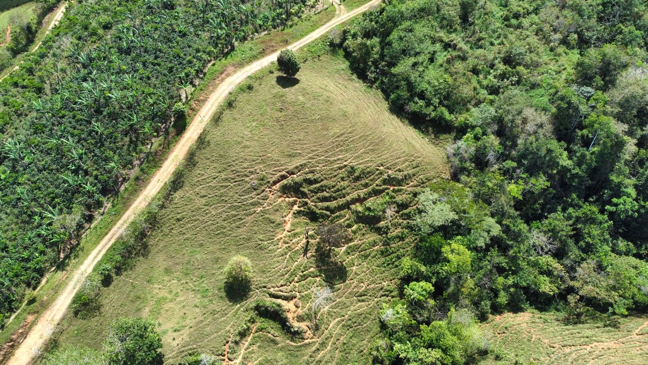 OVER 14 ACRES FARM IN ALTO DE GUADALUPE
