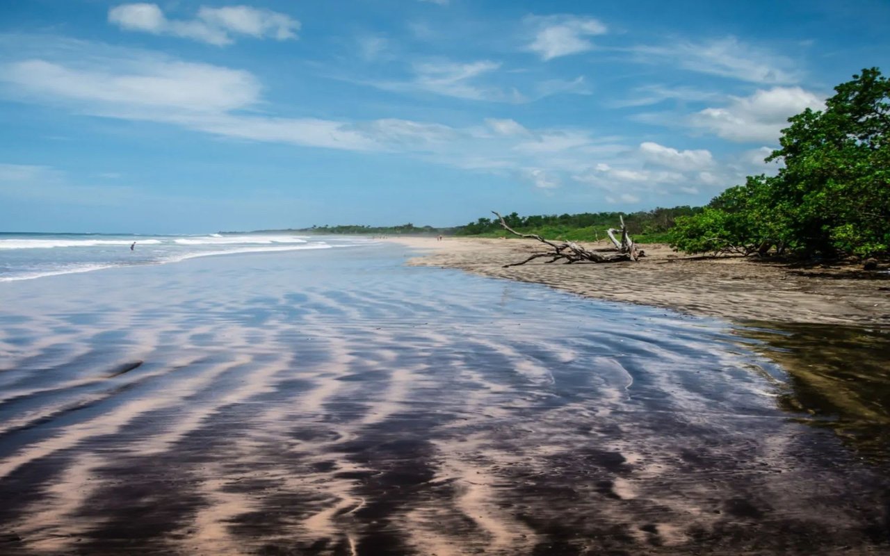 Playa Avellanas