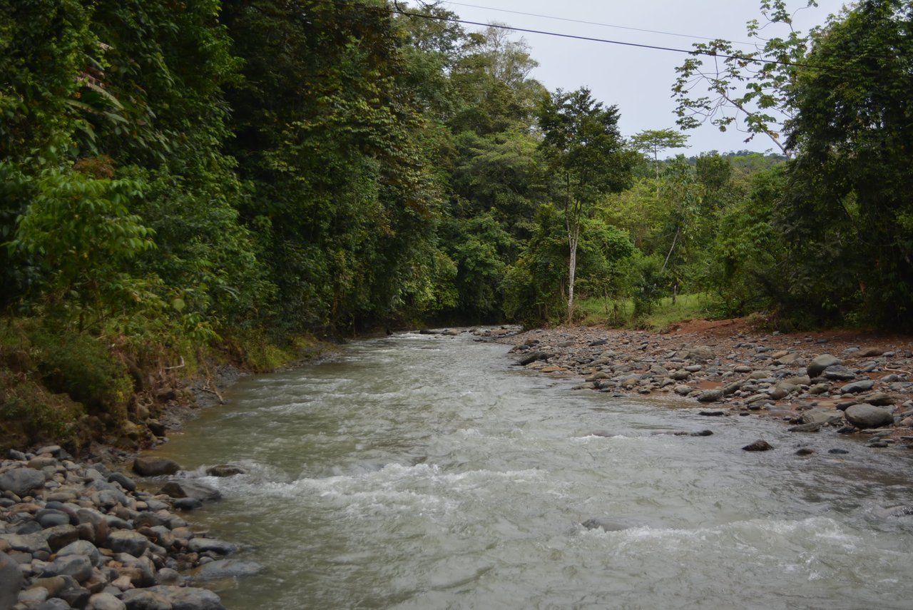 27.6 Acres On The Rio Morenos