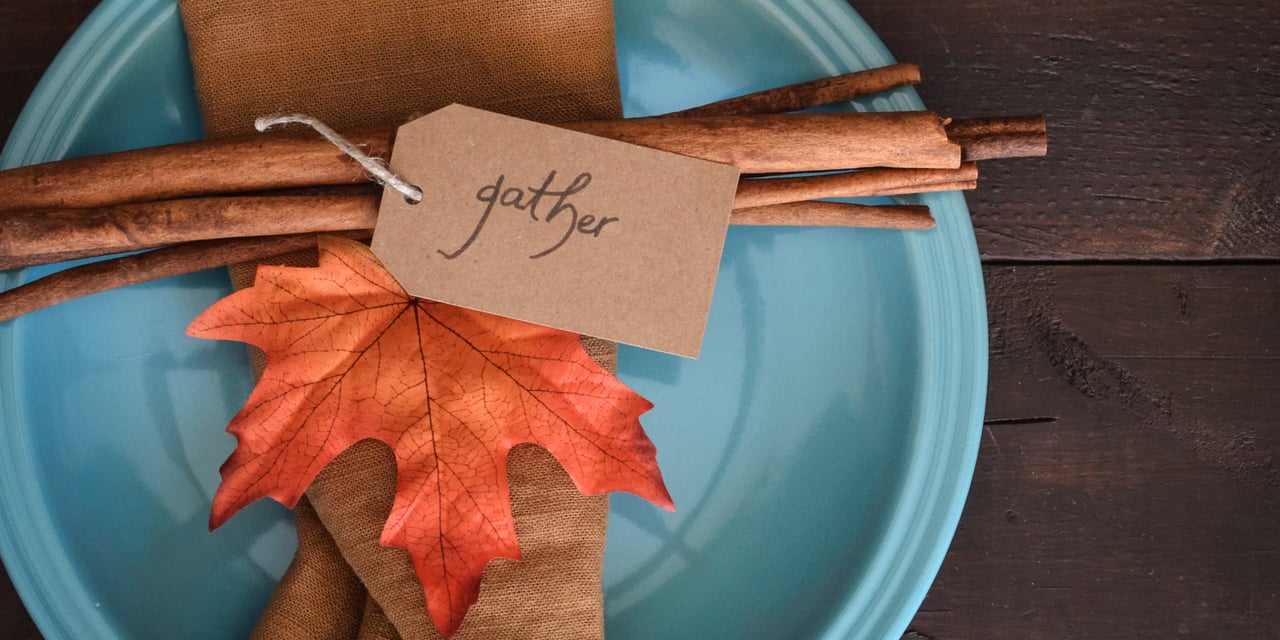 November 2020 Newsletter