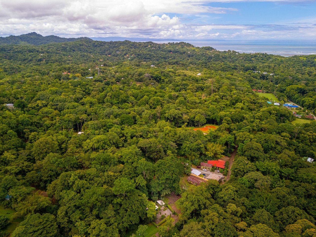 Coastal Canopy Retreat