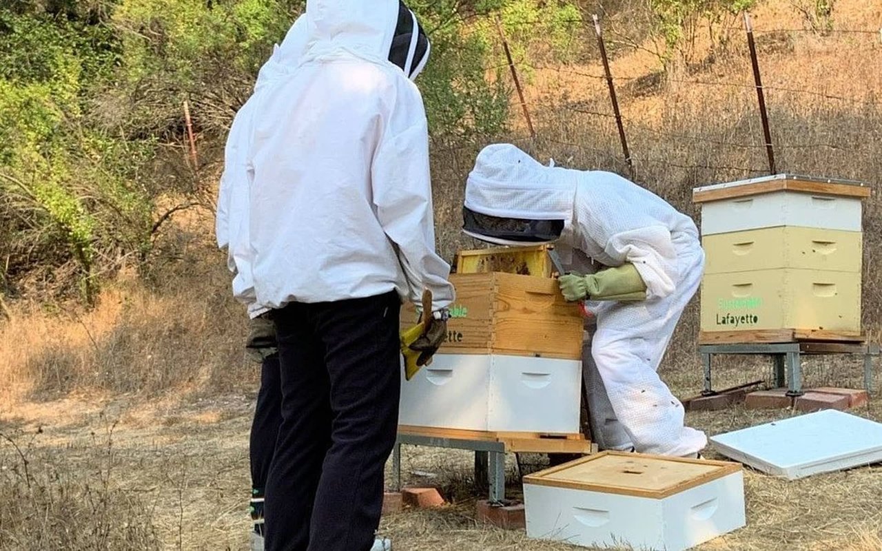 Lamorinda Events June 3 -9, 2022