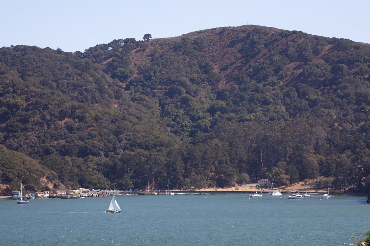 Old Town Tiburon View Residence