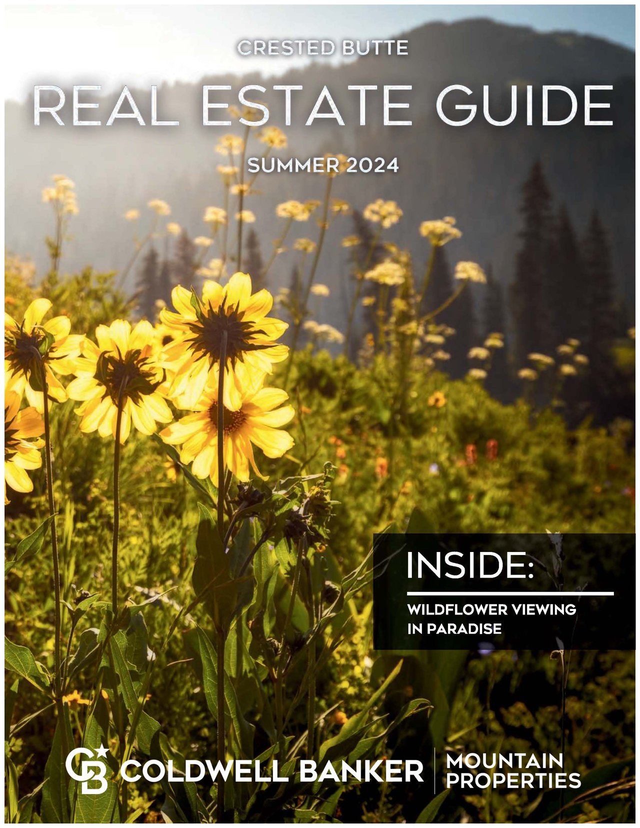 Summer 2024 Real Estate Guide