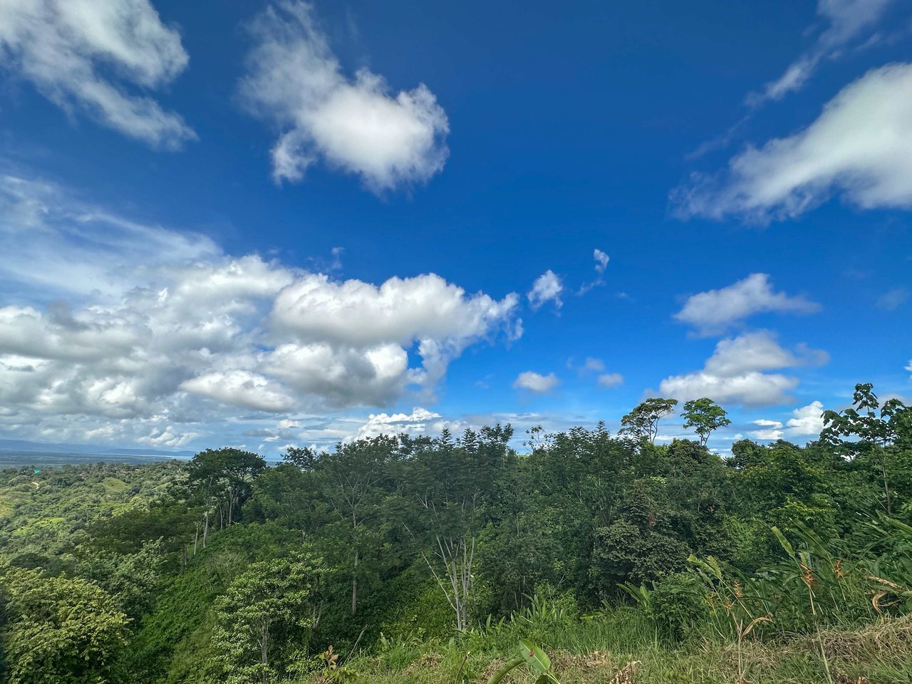 Ocean & Mountain View Half-Acre Lot in Gated Chontales Community