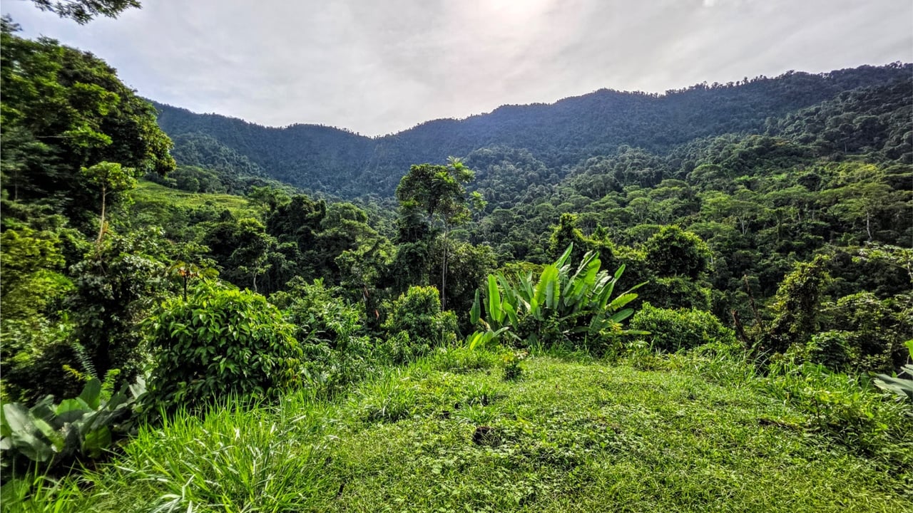 Rainforest Waterfall Acreage Estate, Dominical, Puntarenas