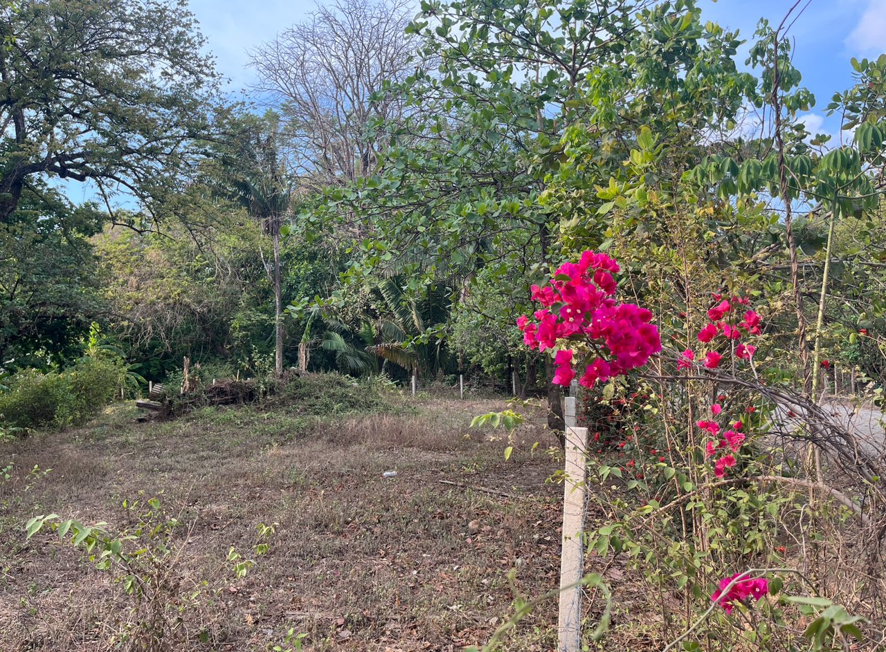 Tropical Development Parcel, Nosara, Guanacaste