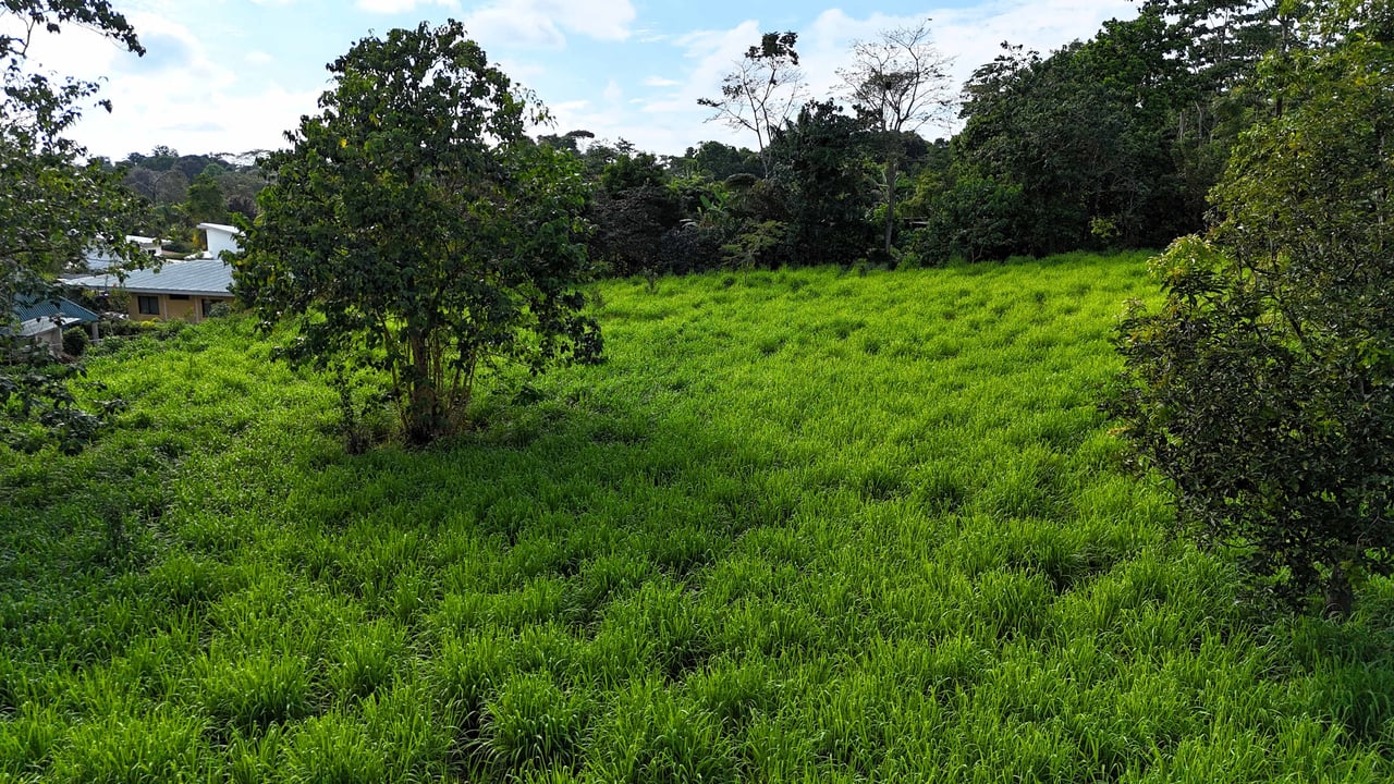 Over 3 Acres, Mountain View Lot in the Heart of Ojochal, Ready for Development!.