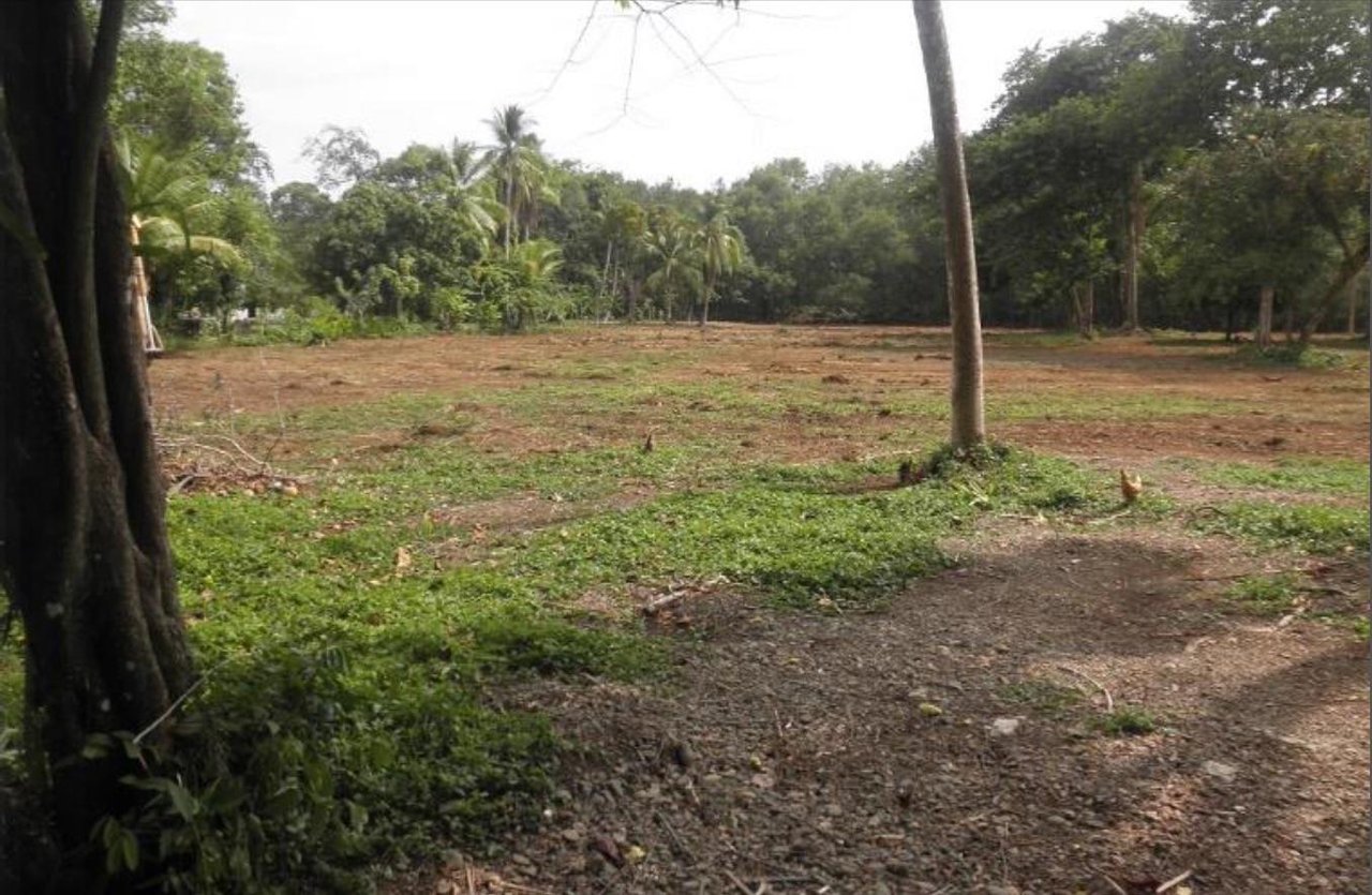 Quepos Commercial Property