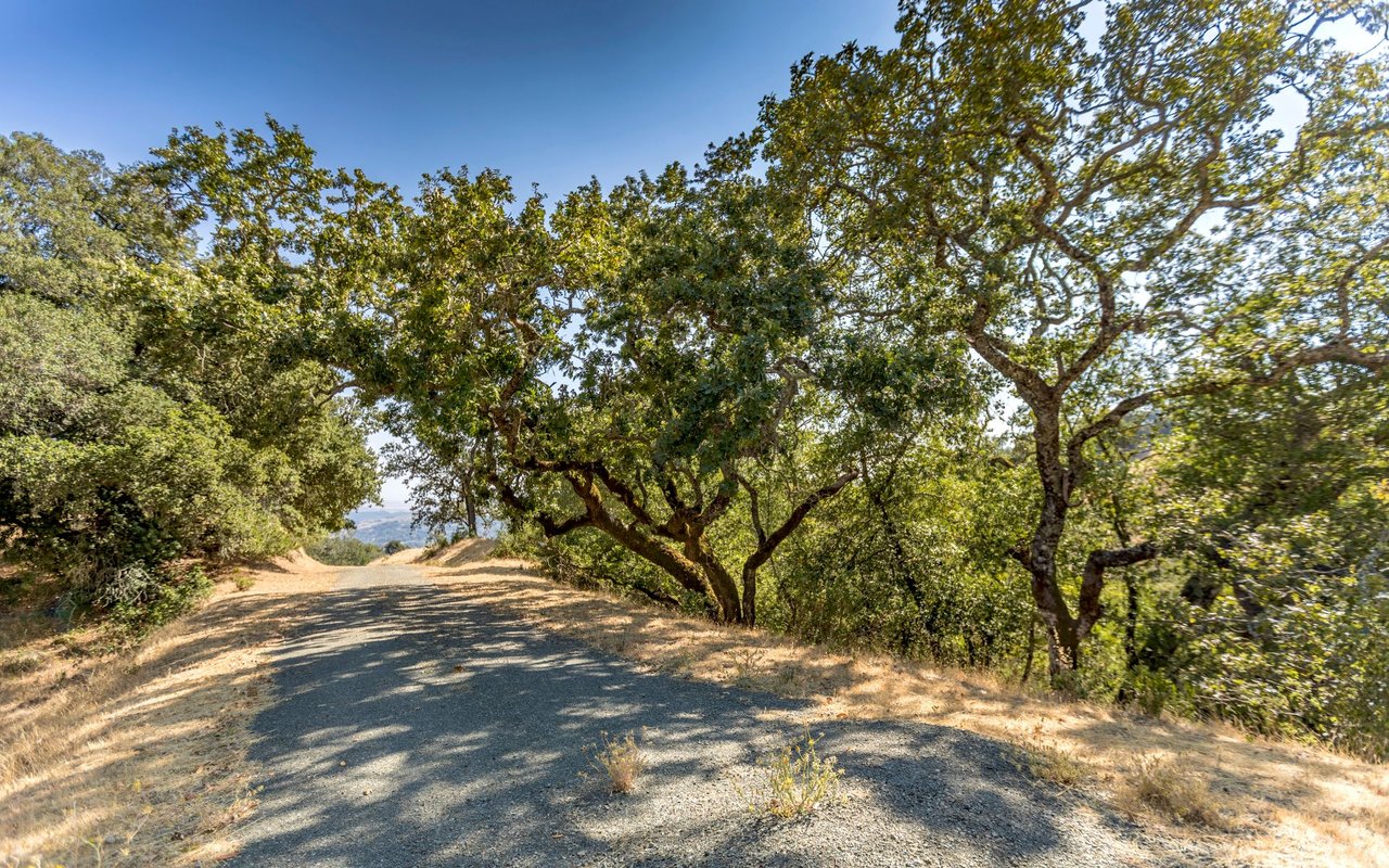 Grove Street, Sonoma