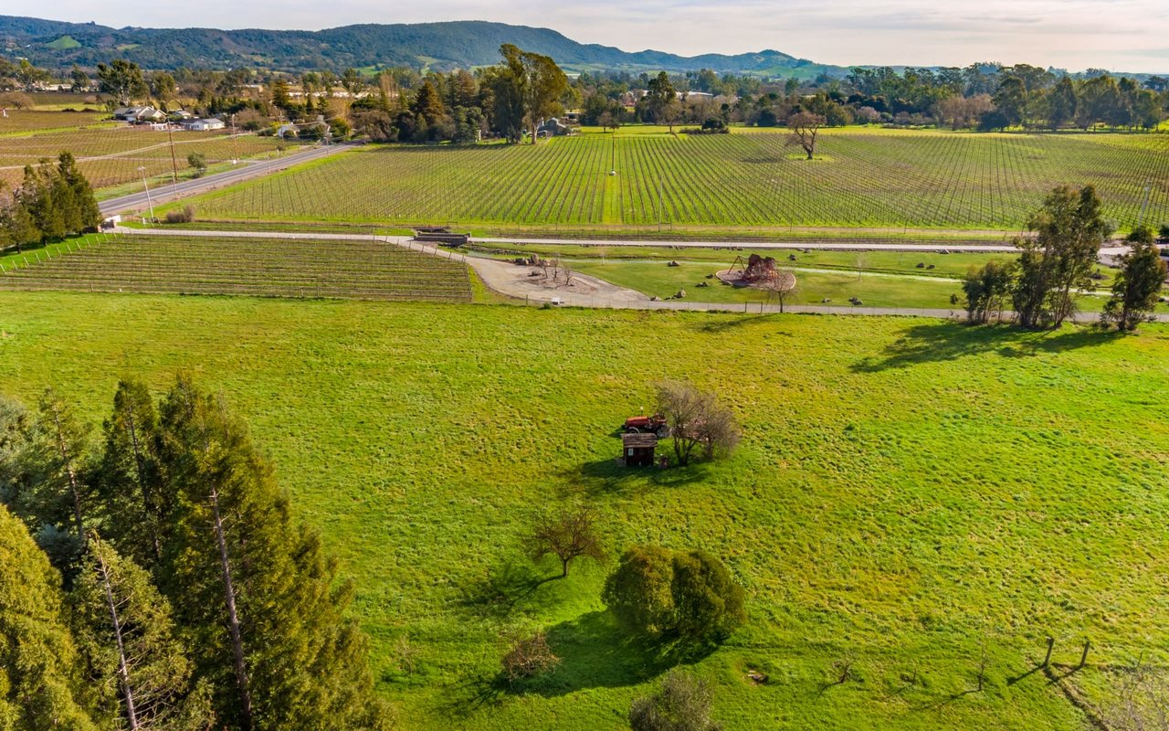 Napa Road, Sonoma