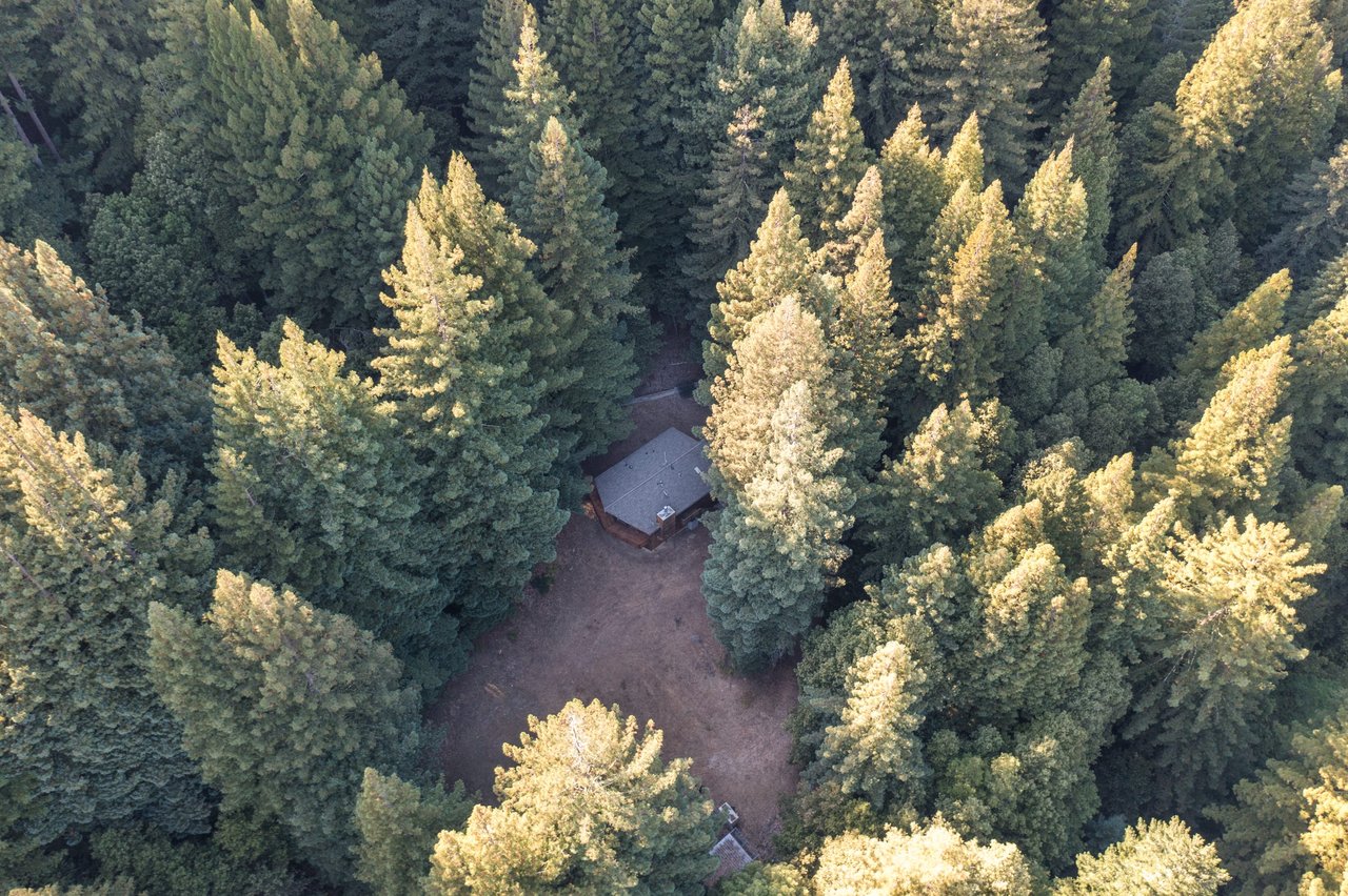 Meadow View