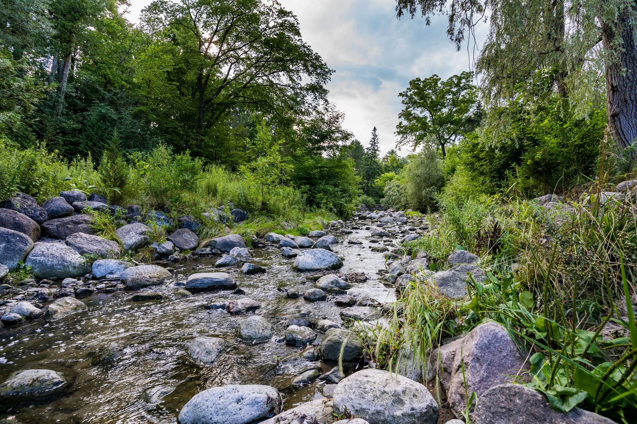 BRIDLE PATH - SUNNYBROOK - YORK MILLS 