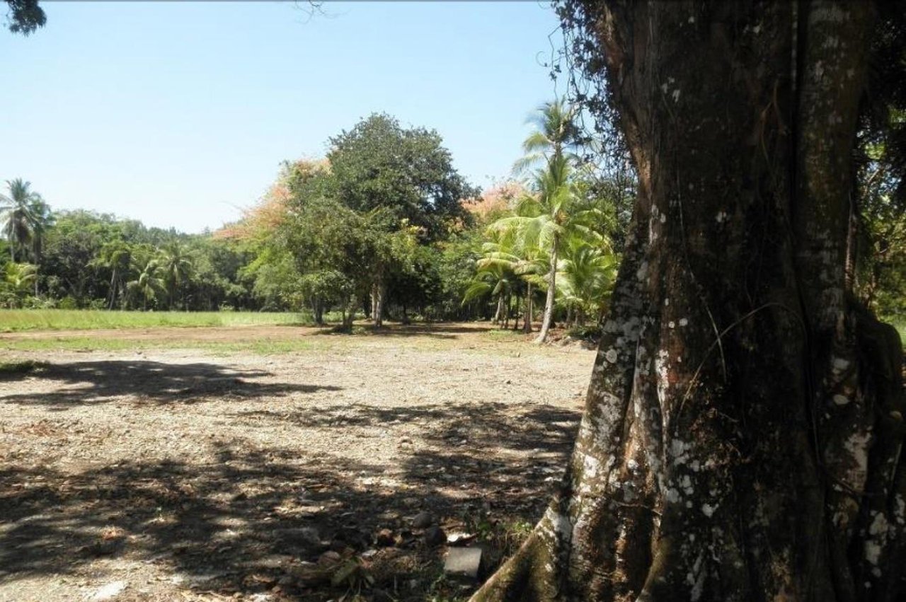 Quepos Commercial Property