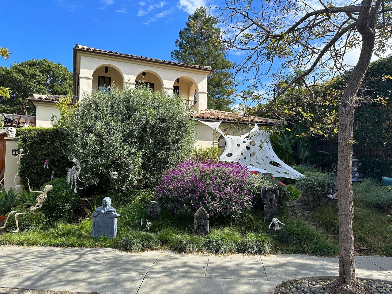 A Mill Valley Halloween—Why Sycamore Park is the Place to Be