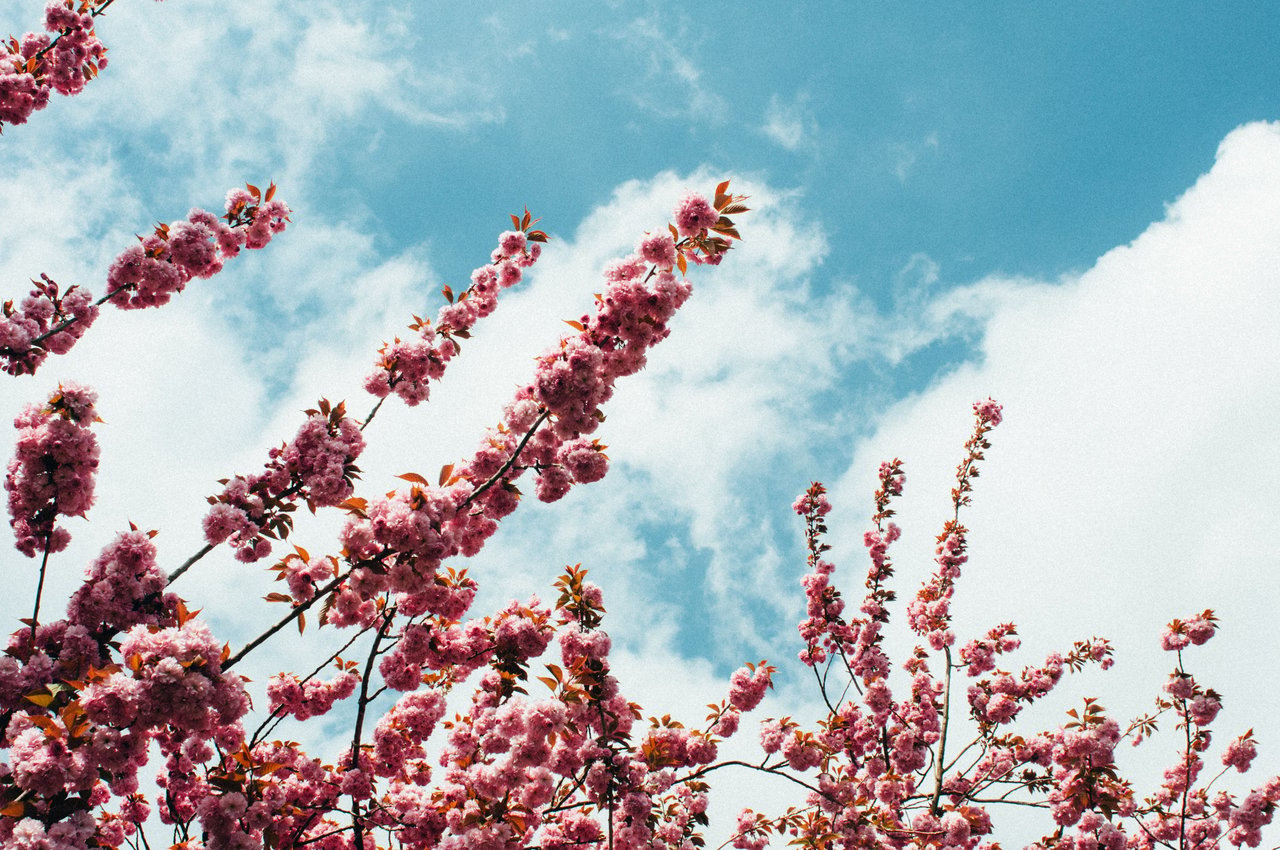 April Newsletter