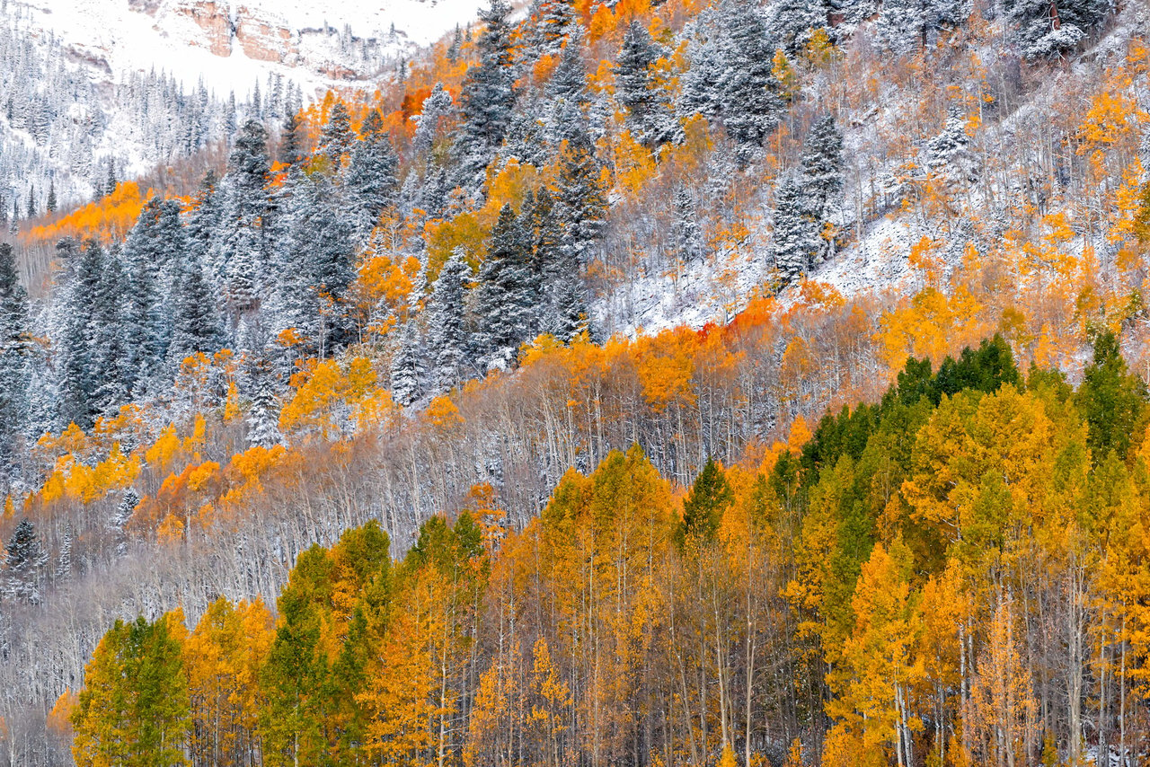 Insider's Guide to Off-Season in Aspen