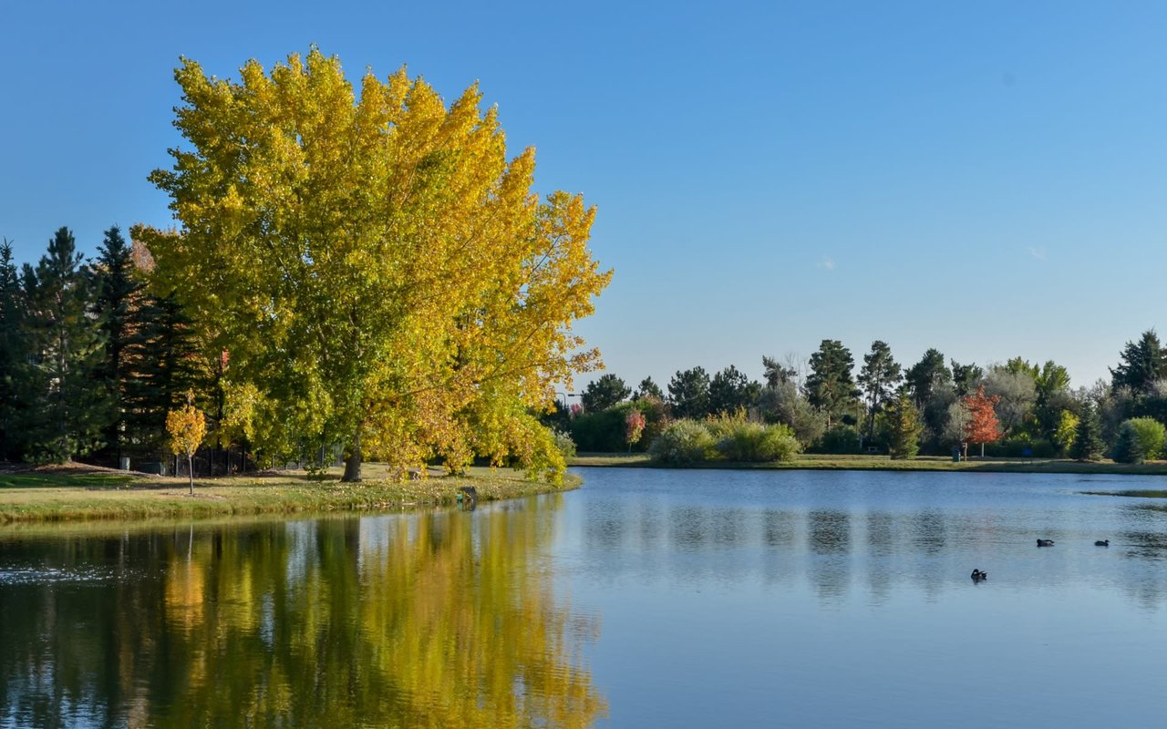 South Metro Denver