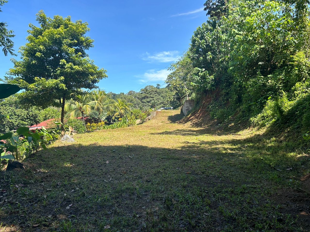 Reasonable Lot for sale in Uvita