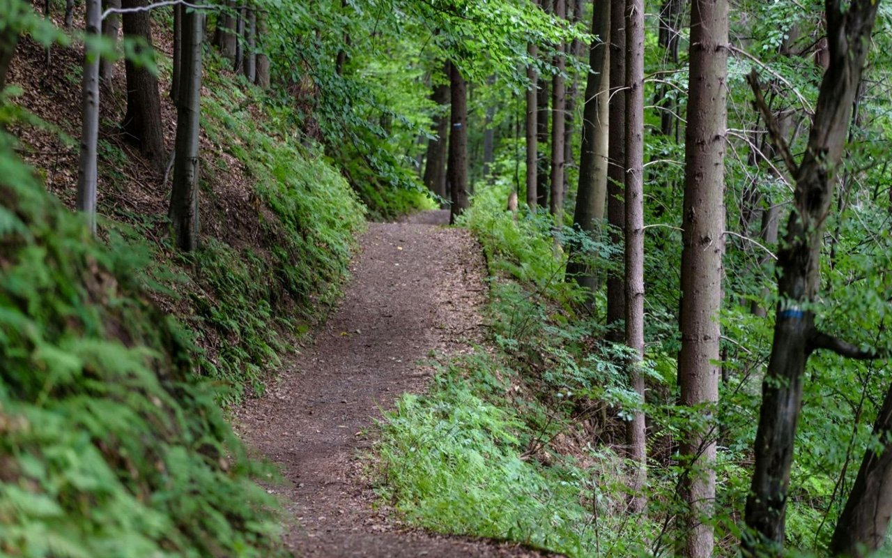 5 Best Hiking Trails in Bedford, NH