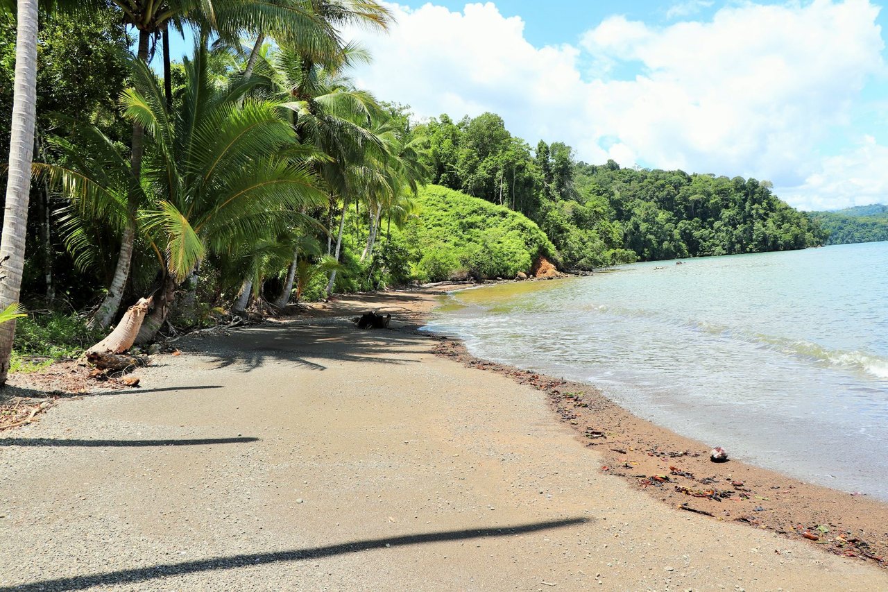 Private Beachfront Development Land, Ojochal, Puntarenas