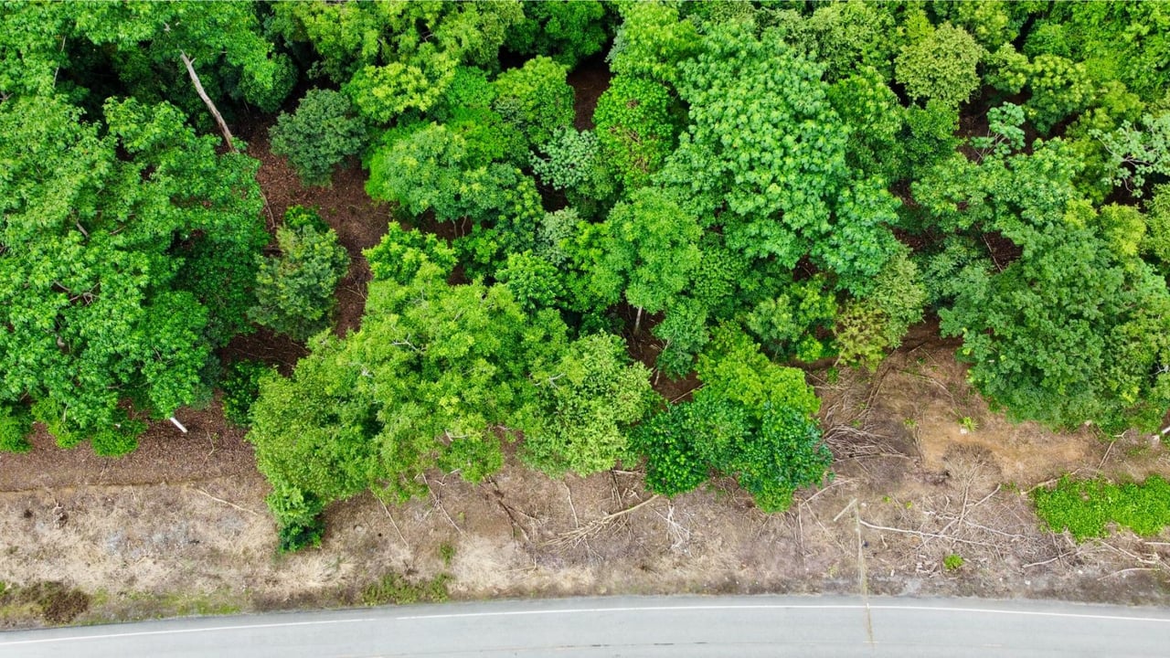 Flat Commercial Development Lot, Osa, Puntarenas