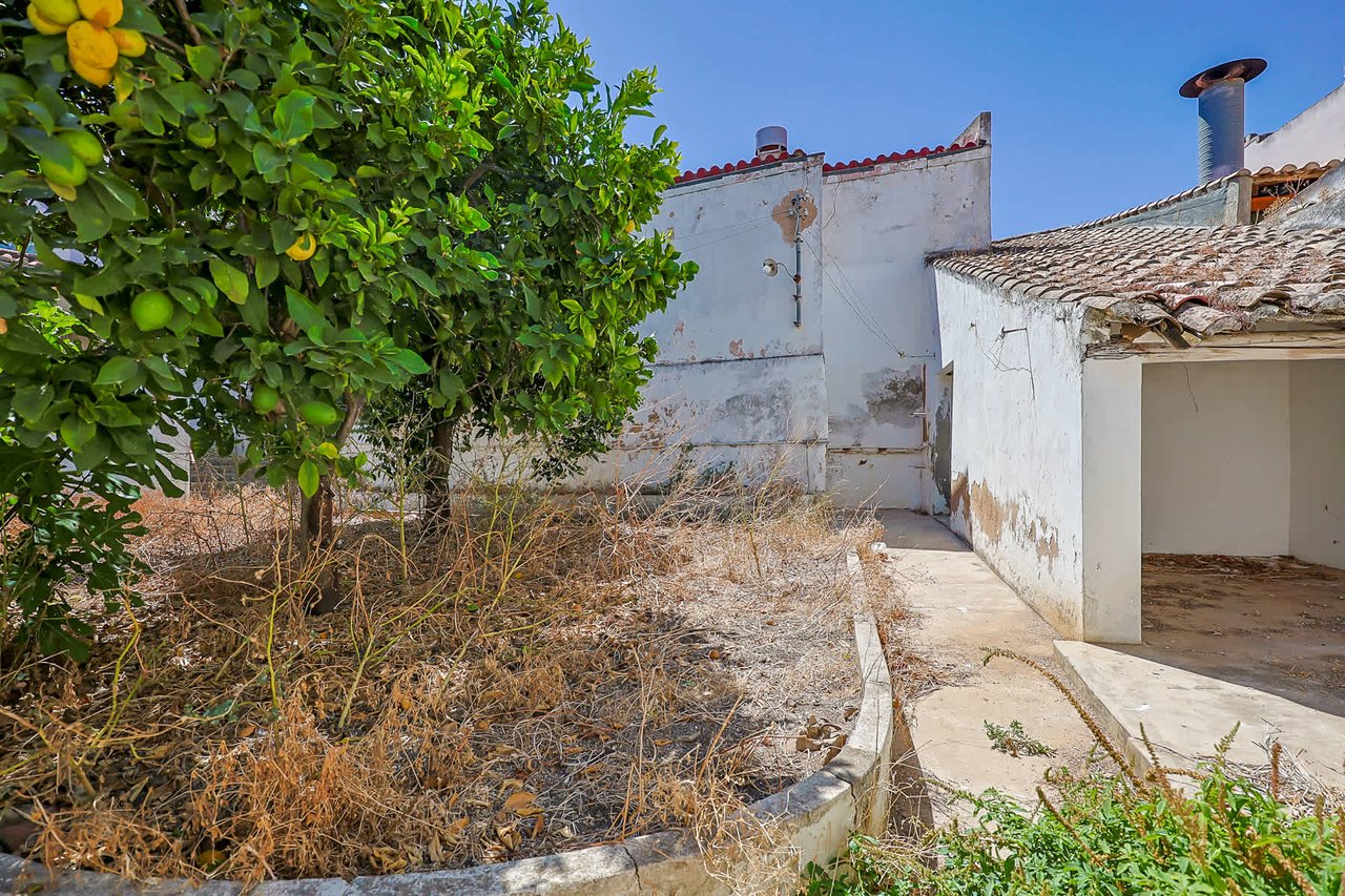 Investment Opportunity In Lagos: 5-Bedroom House with Backyard