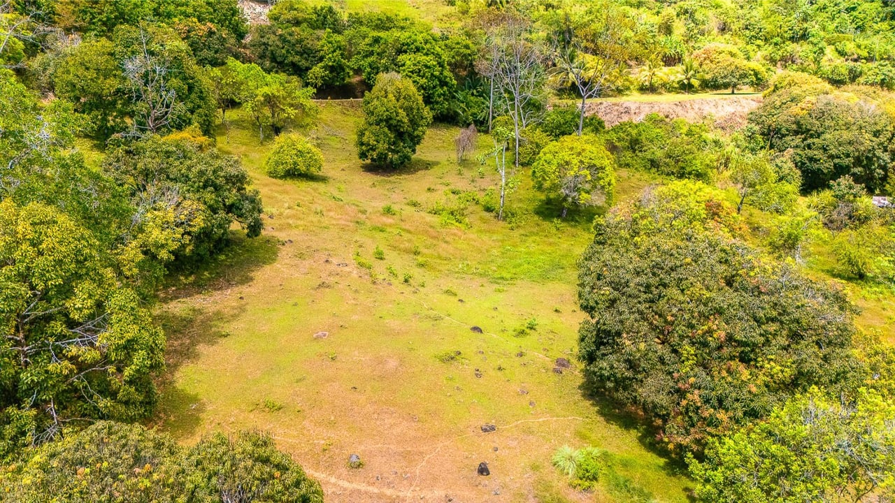 Prime Forest View Lot, Ojochal, Puntarenas