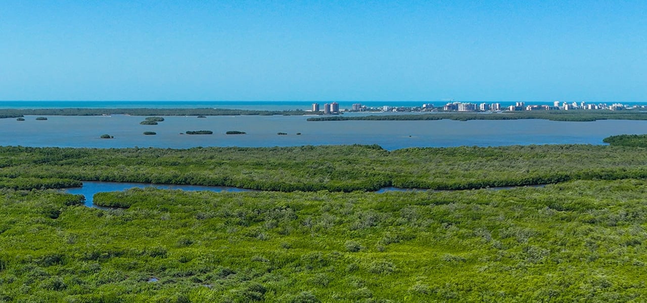 The Island at West Bay Residences