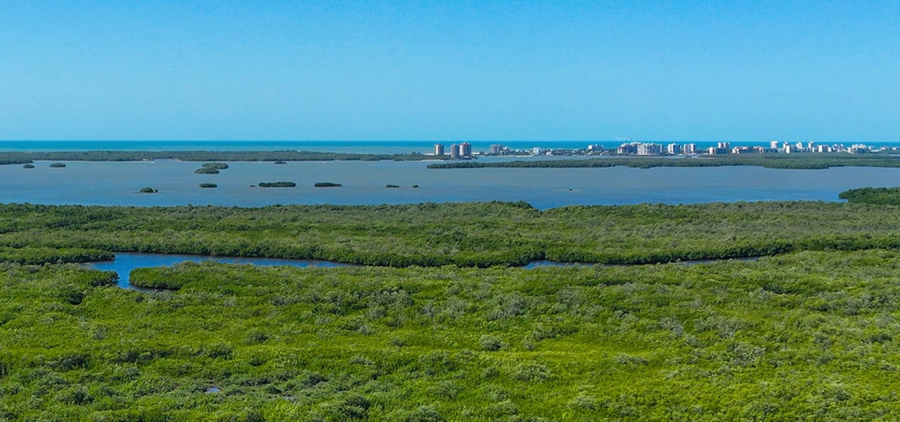 The Island at West Bay Residences