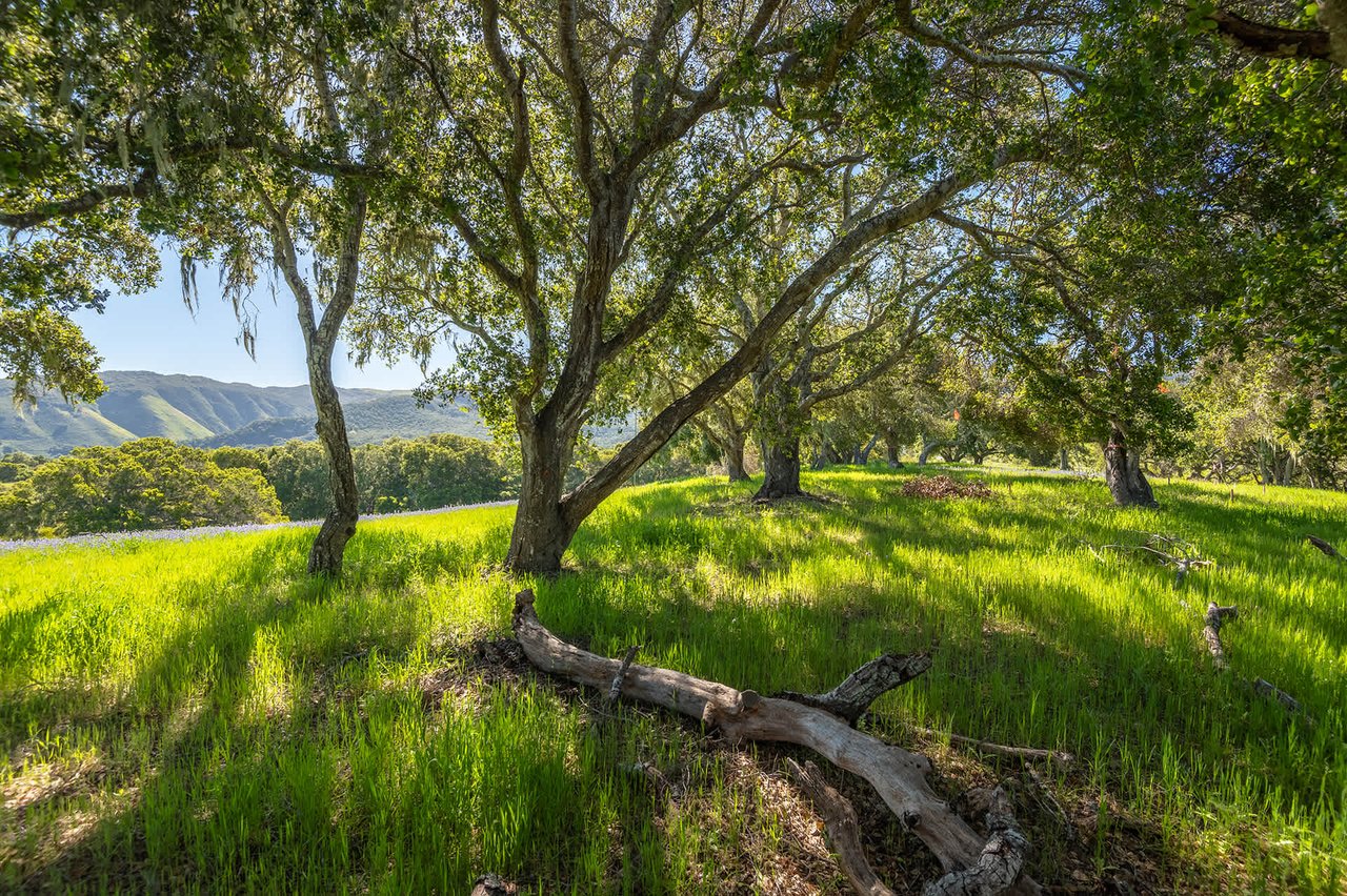 9 Mesa Trl - Preserve Lot With Plans