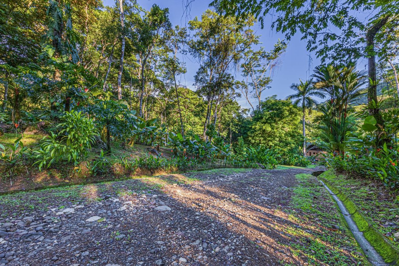 Uvita, Jungle Retreat Center on the Uvita River. Private and 17 Acres