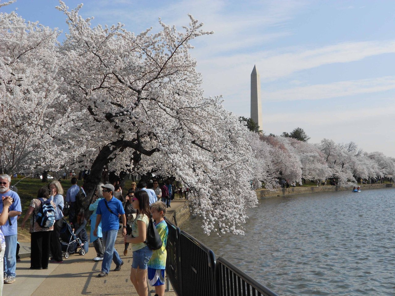 DC's Green Spaces and parks