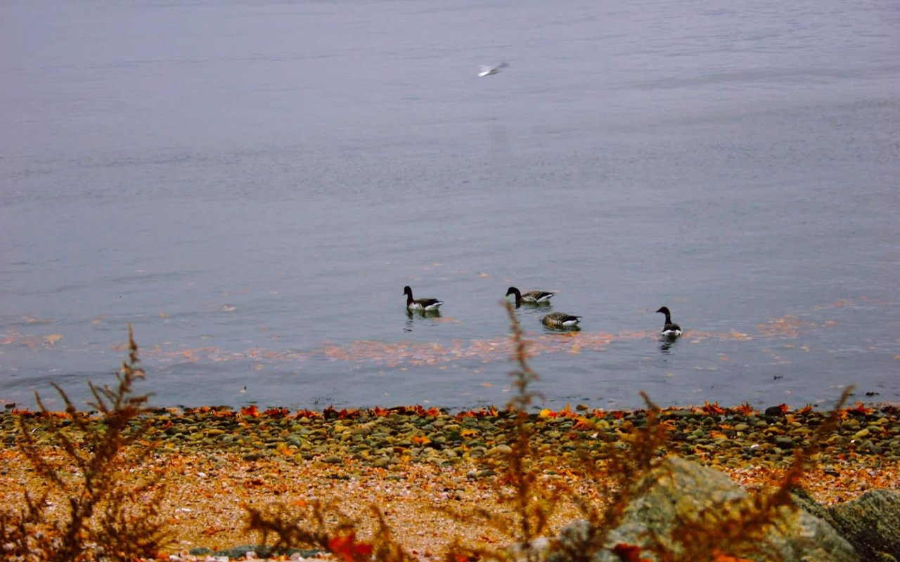 Living in Greenwich, CT