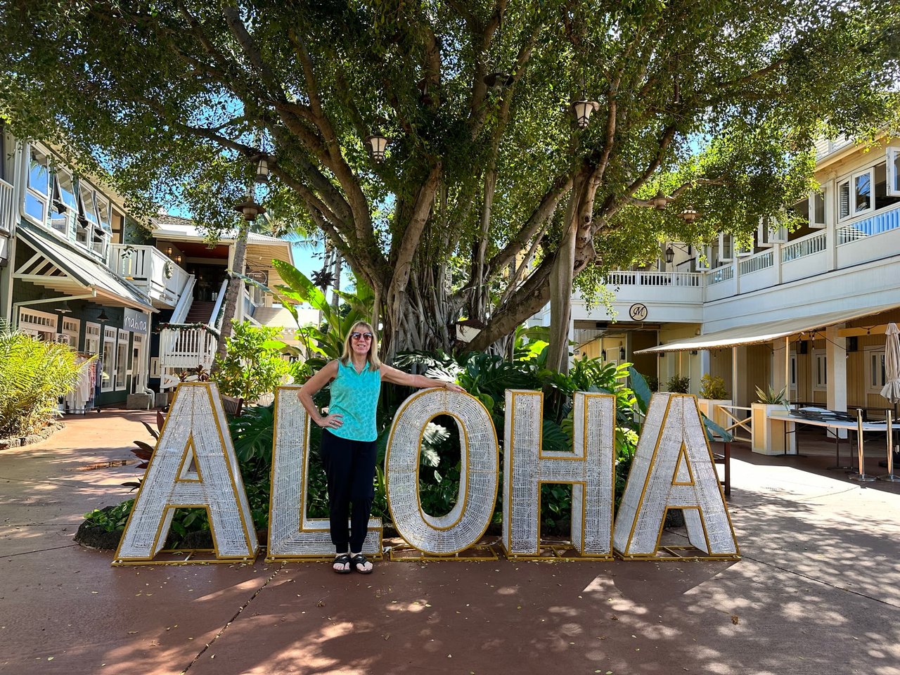 Kauai Real Estate Update, Clearing Up The Memes, Kauai Animals Win With Community Events