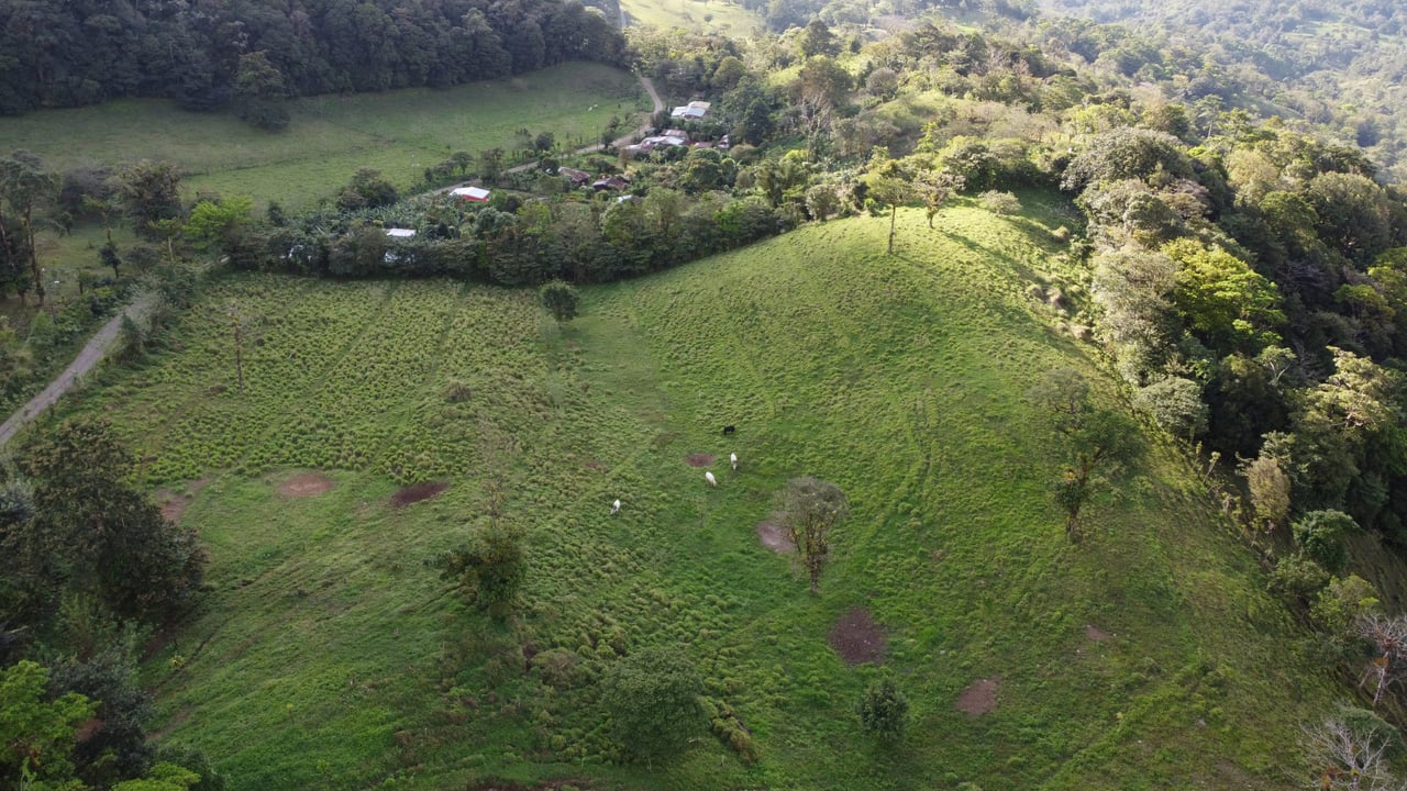 Colina del Tapir | Experience breathtaking views of Lake Nicaragua, with the majestic Concepcion Volcano against the backdrop of Ometepe Island!