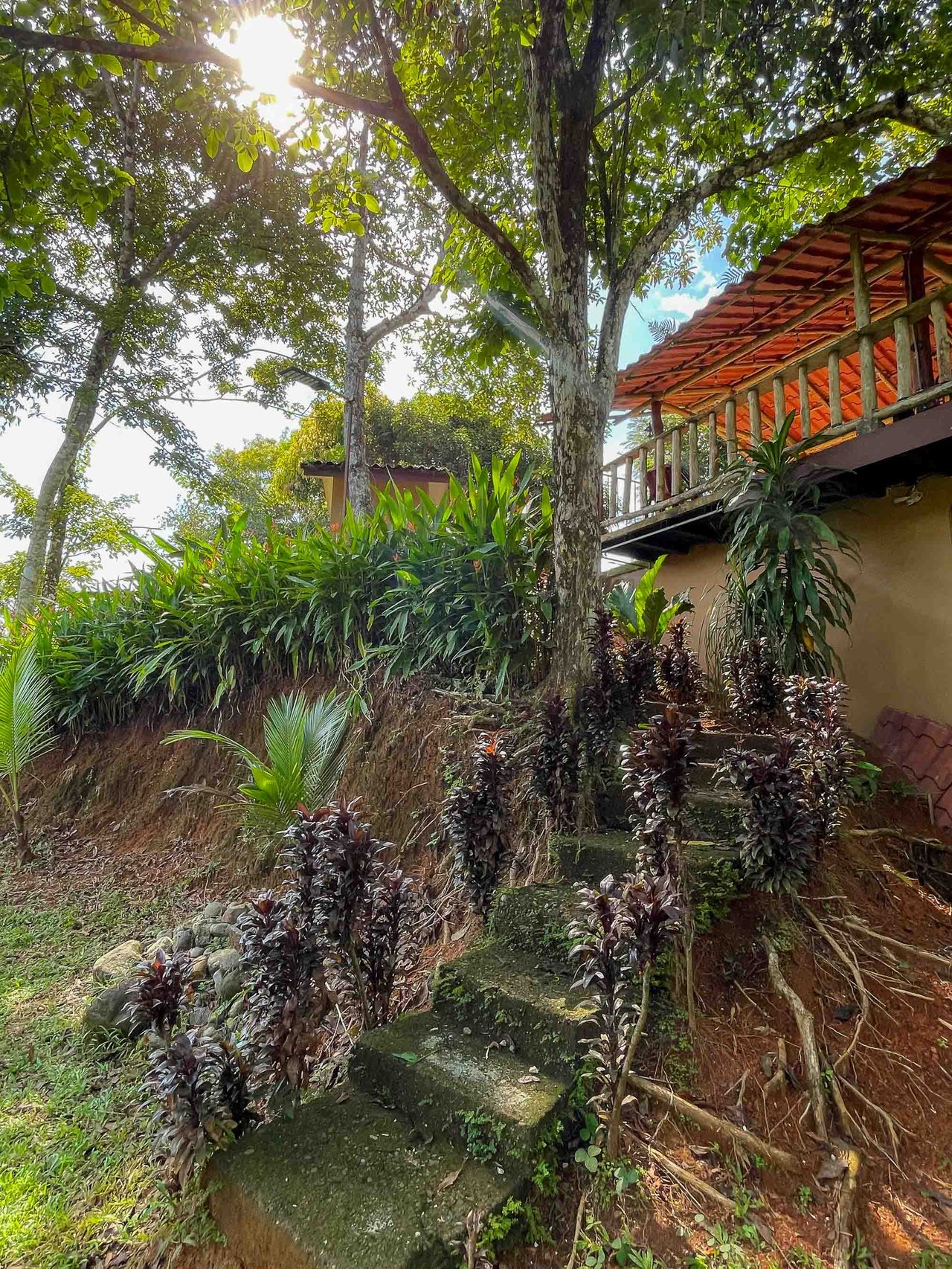 Tropical Paradise Farm in the Heart of Quepos