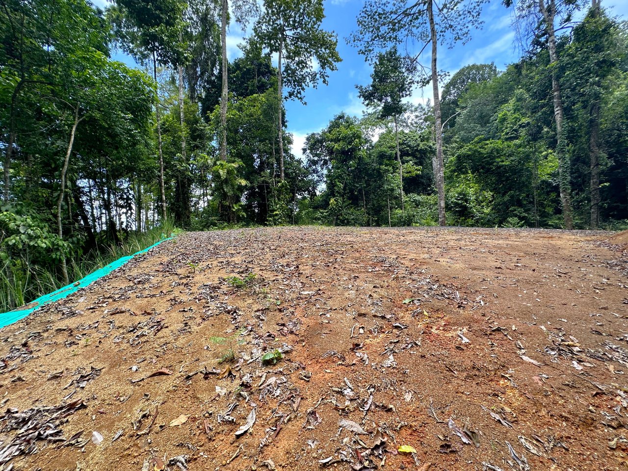 5.77 Acres With 4 Building Sites. Ocean Views, Rivers And Rainforest Abound In Cinco Ventanas! Ojochal 