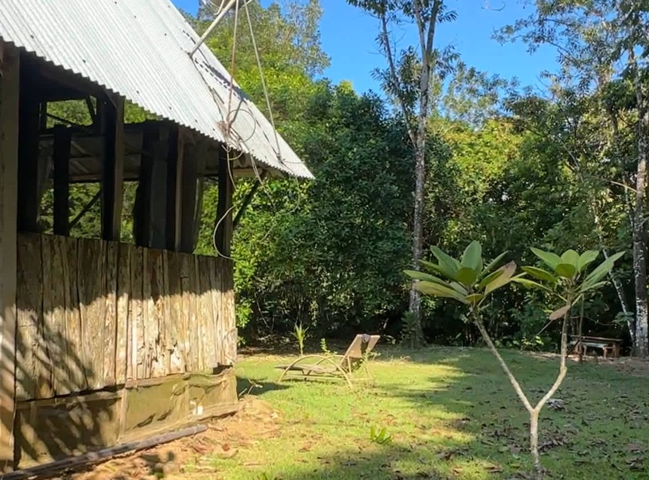 Breeze, Trees, and Monkeys - Your Affordable Costa Rican Haven