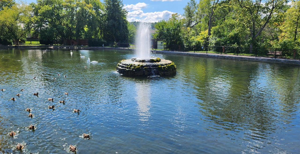 Manlius