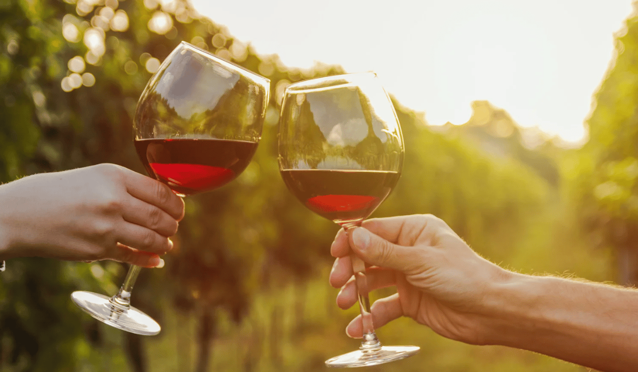 5 Reasons Why a Wine Tasting Pass Should Be Your Next Purchase