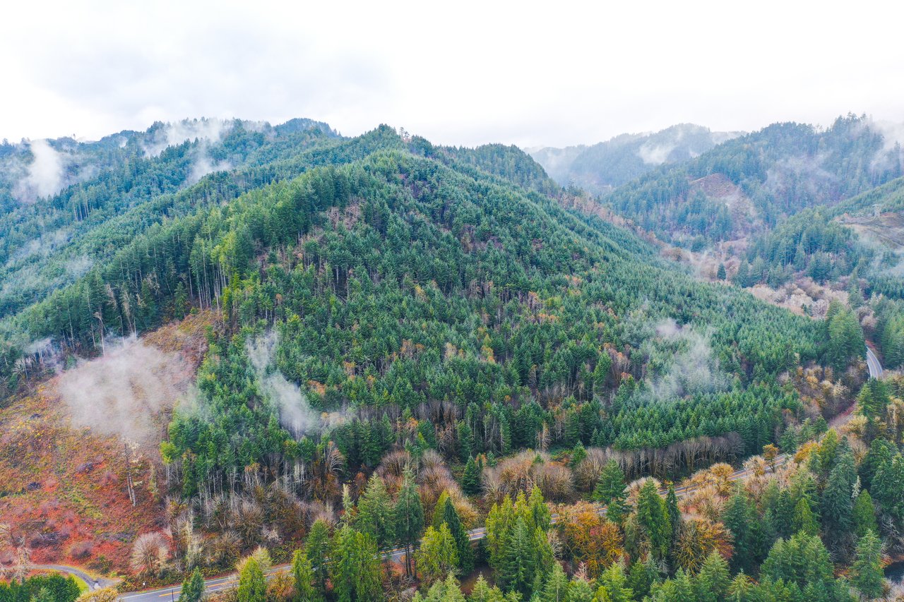 Waite Creek Woodlands