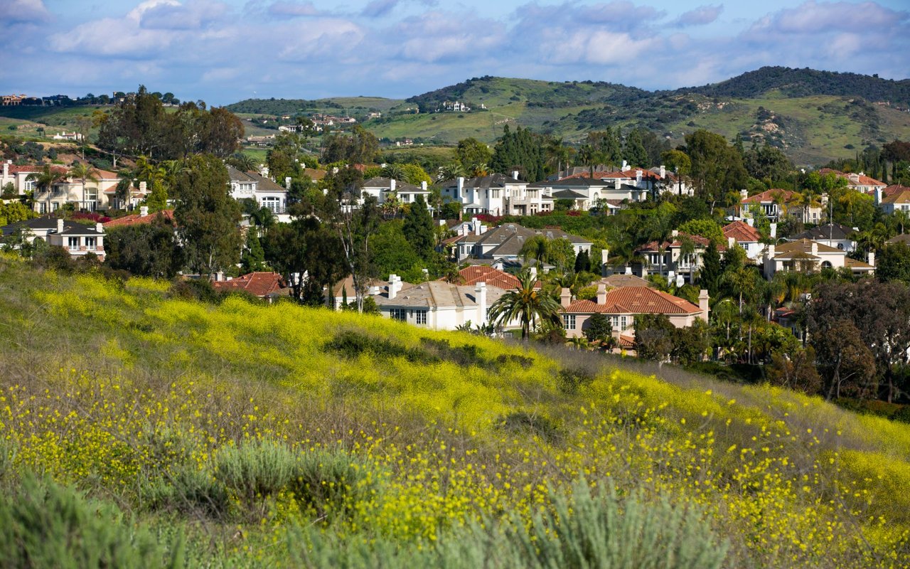 The Village of Turtle Rock